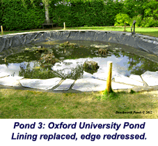rebuild pond oxfordshire 13