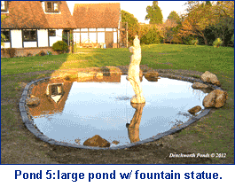 ponds oxfordshire 5