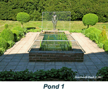 garden pond cleaning 1