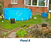 garden pond cleaning 8